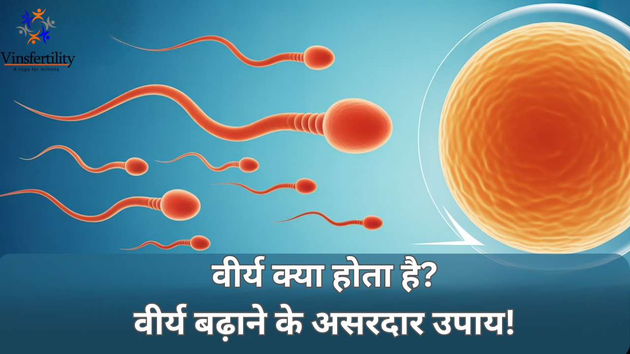 virya kya hota hai | वीर्य की मात्रा और गुणवत्ता | वीर्य बढ़ाने के उपाय